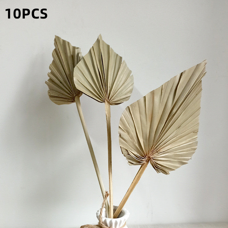 Heart Palm