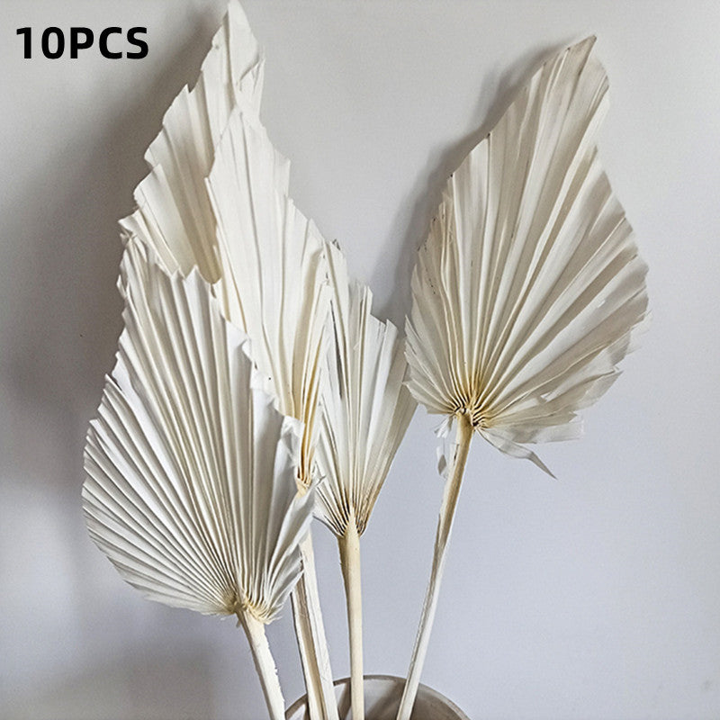 Heart Palm