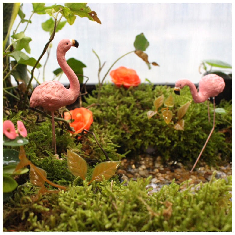 Flamingo Gardeners