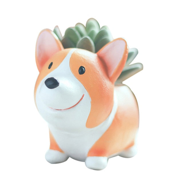 Corgi Garden