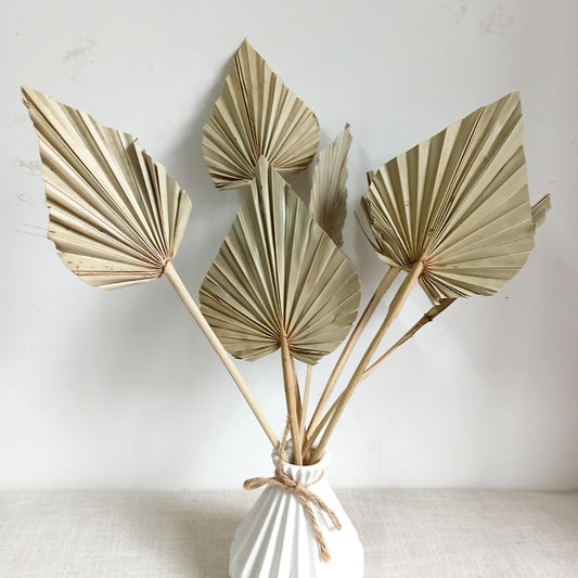 Heart Palm