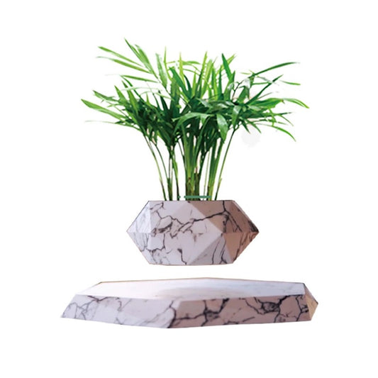 Cohelo Pot