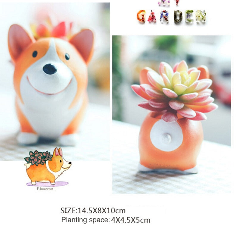 Corgi Garden