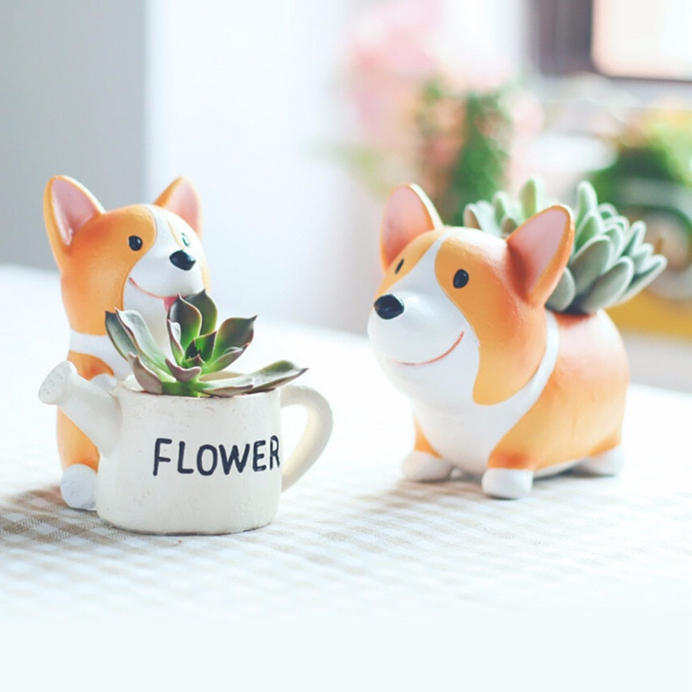 Corgi Garden